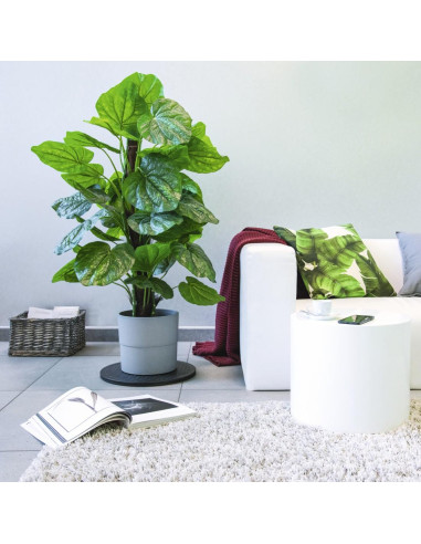 Кръгла въртяща се поставка за TV HAMA, До 80 кг, 220892