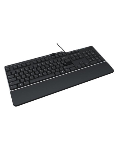 US/Euro (QWERTY) Dell KB-522 Wired Business Multimedia USB Keyboard Black