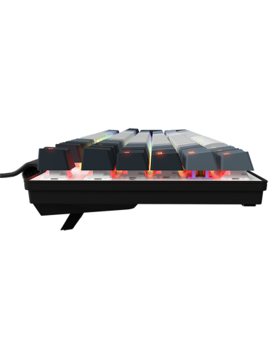 LORGAR Azar 514, Wired mechanical gaming keyboard, RGB backlight, 1680000 colour variations, 18 modes, keys number: 104, 50M 