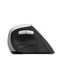 Безжична ергономична мишка RAPOO EV250 2