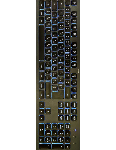 HAMA Жична Клавиатура -quot,CK-400-quot,, Х-структурна, USB-A, USB-C, AI бутон, светеща