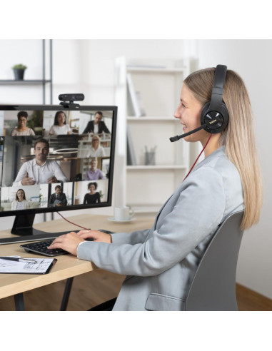 HAMA Слушалки с микрофон HS-USB400 V2, черно